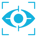 Vision icon